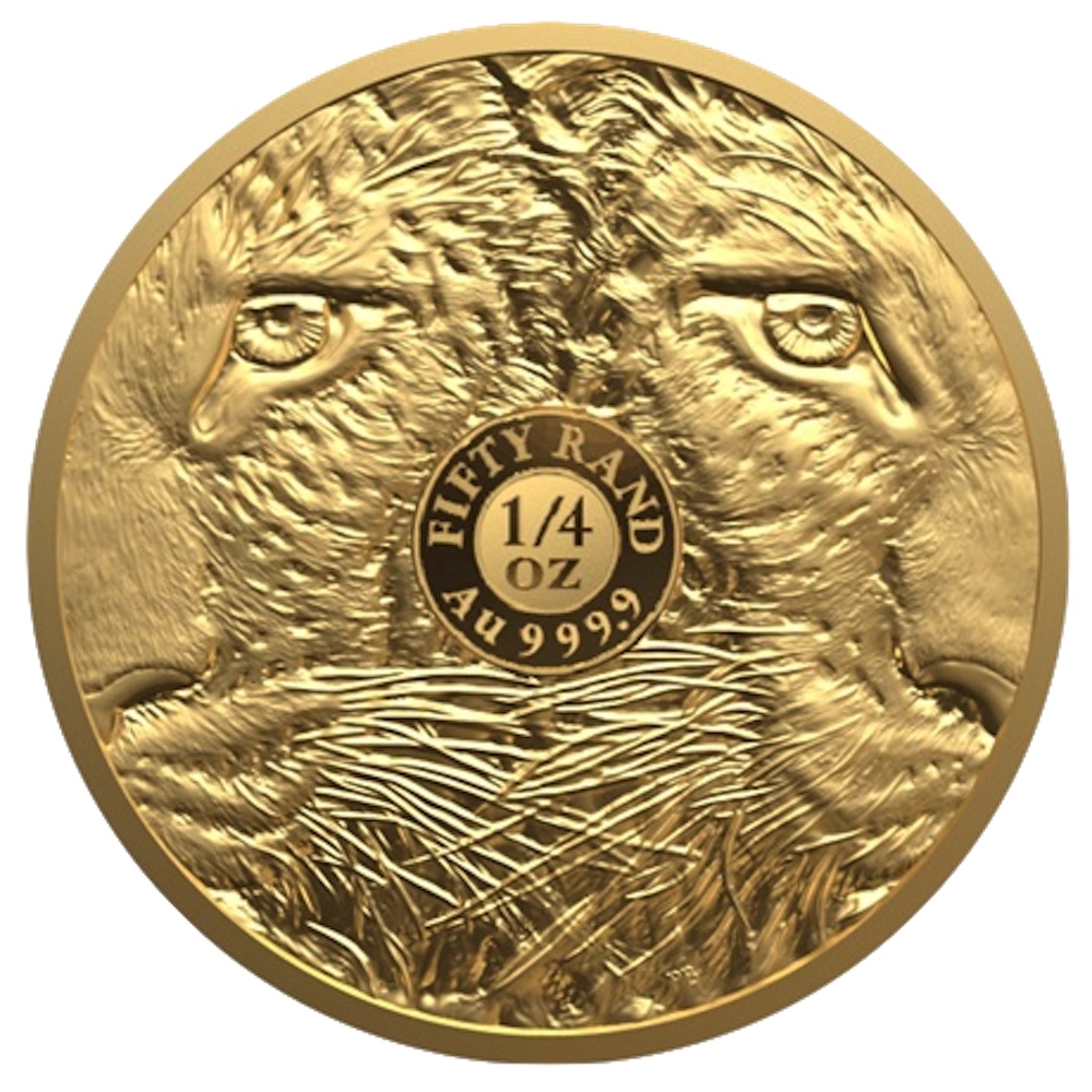Big 5: Leopard 1/4 Unze Gold