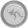 Nugget 1 Unze Platin