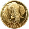 new-elephant-big5-14once-or.png