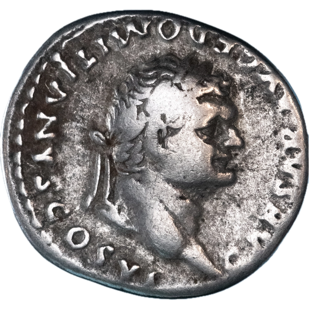 Roman Empire - Flavian Dynasty Denarius Domitian ​​79 Rome